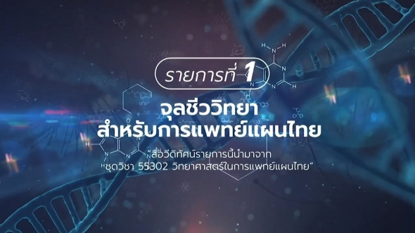 55203 รายการที่ 1 จุลชีววิทยาสำหรับการแพทย์แผนไทย