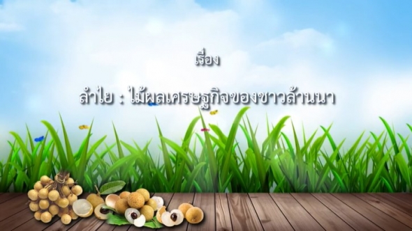 93467 ลำไย...ไม้ผลเศรษฐกิจของชาวล้านนา