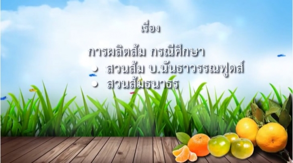 93467 การผลิตส้ม:กรณีศึกษาสวนส้มบริษัทนันธาวรรณฟูดส์,สวนส้มธนาธร