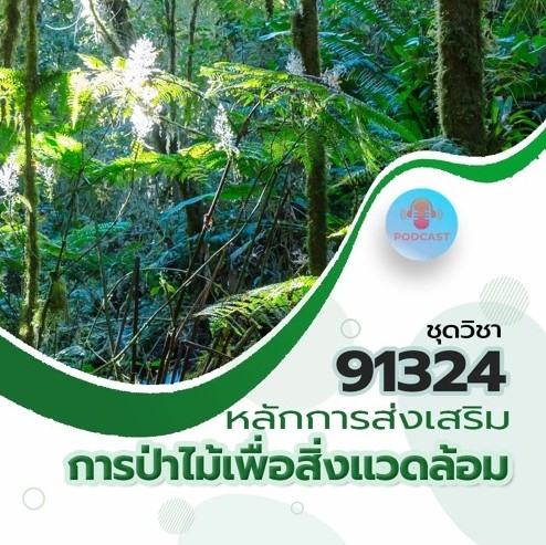 91324 หลักการส่งเสริมการป่าไม้เพื่อสิ่งแวดล้อม