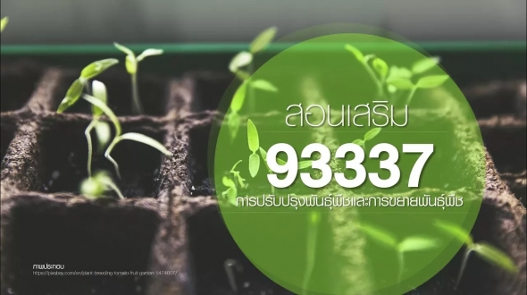93337 การปรับปรุงพันธุ์พืชและการขยายพันธุ์พืช (EP.4/1)