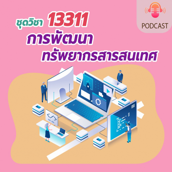 13311 การพัฒนาทรัพยากรสารสนเทศ
