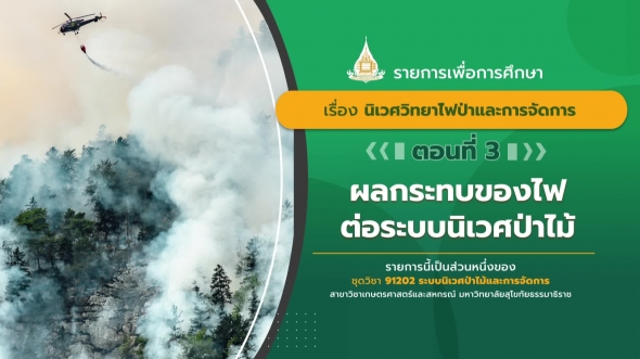 91202 รายการที 10 ตอนที่ 3 ผลกระทบของไฟต่อระบบนิเวศป่าไม้