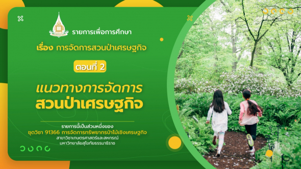 91366  รายการที่ 9 ตอนที่ 2 แนวทางการจัดการสวนป่าเศรษฐกิจ