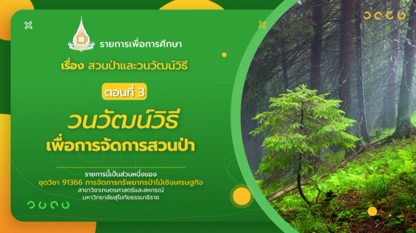 91366  รายการที่ 8 ตอนที่ 3 วนวัฒน์วิธีเพื่อการจัดการสวนป่า