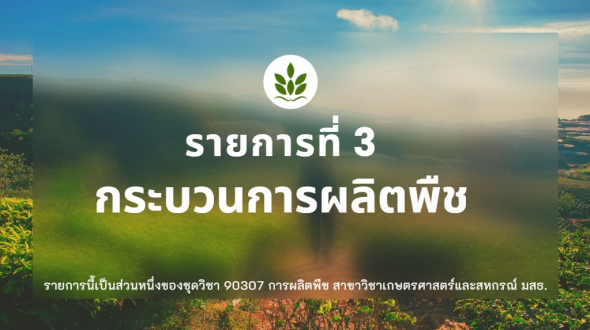 90307  รายการที่ 3 เรื่อง กระบวนการผลิตพืช