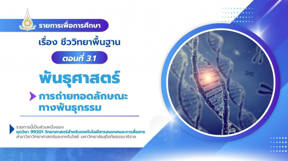 99201  รายการที่ 4 ตอนที่ 3.1 พันธุศาสตร์ : การถ่ายทอดลักษณะทางพันธุกรรม