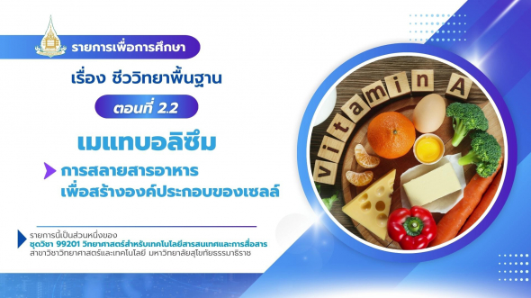 99201  รายการที่ 4 ตอนที่ 2.2  เมแทบอลิซึม : การสลายสารอาหารเพื่อสร้างองค์ประกอบของเซลล์