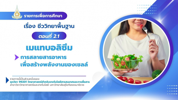 99201  รายการที่ 4 ตอนที่ 2.1 เมแทบอลิซึม : การสลายอาหารเพื่อสร้างพลังงานของเซลล์