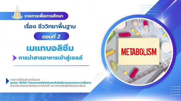 99201  รายการที่ 4 ตอนที่ 2 เมแทบอลิซึม : การนำสารอาหารเข้าสู่เซลล์
