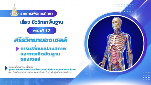 99201  รายการที่ 4 ตอนที่ 1.2  สรีรวิทยาของเซลล์ : การเปลี่ยนแปลงสภาพและการเกิดสัณฐานของเซลล์