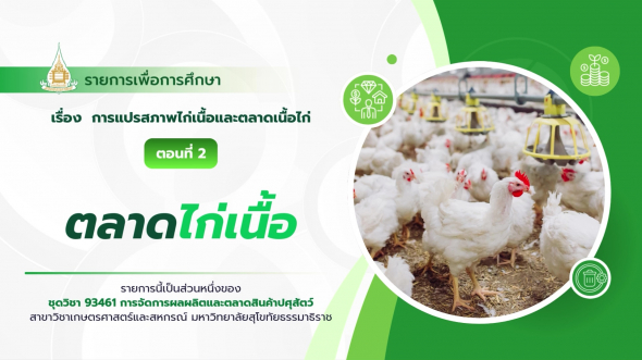 93461  รายการที่ 3 ตอนที่ 2 ตลาดไก่เนื้อ