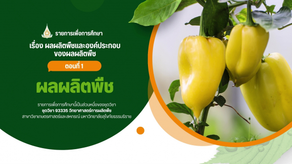 93335  รายการที่ 7 ตอนที่ 1 ผลผลิตพืช
