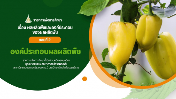 93335  รายการที่ 7 ตอนที่ 2 องค์ประกอบผลผลิตพืช