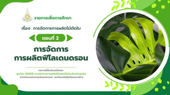 93458  รายการที่ 9 ตอนที่ 2 การจัดการการผลิตฟิโลเดนดรอน