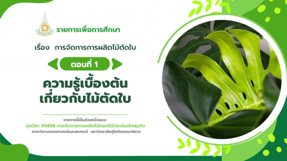 93458  รายการที่ 9 ตอนที่ 1 ความรู้เบื้องต้นเกี่ยวกับไม้ตัดใบ