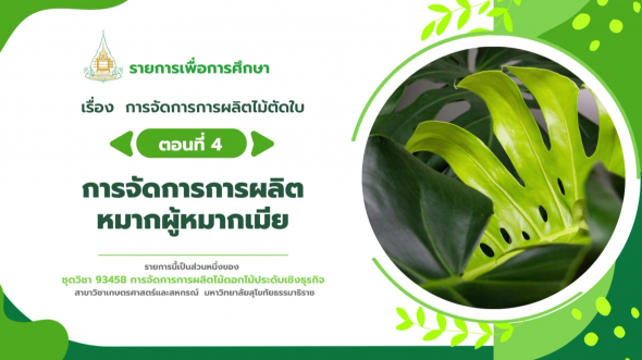 93458  รายการที่ 9 ตอนที่ 4 การจัดการการผลิตหมากผู้หมากเมีย