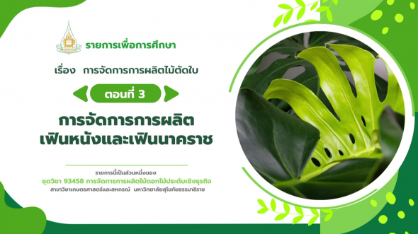 93458  รายการที่ 9 ตอนที่ 3 การจัดการการผลิตเฟินหนังและเฟินนาคราช
