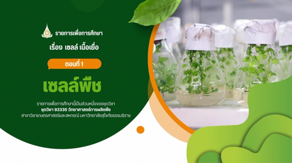 93335  รายการที่ 2 ตอนที่ 1 เซลล์พืช