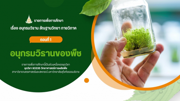 93335  รายการที่ 3 ตอนที่ 1 อนุกรมวิธานของพืช