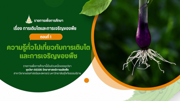 93335 รายการที่ 4 ตอนที่ 1 ความรู้ทั่วไปเกี่ยวกับการเติบโตและการเจริญของพืช