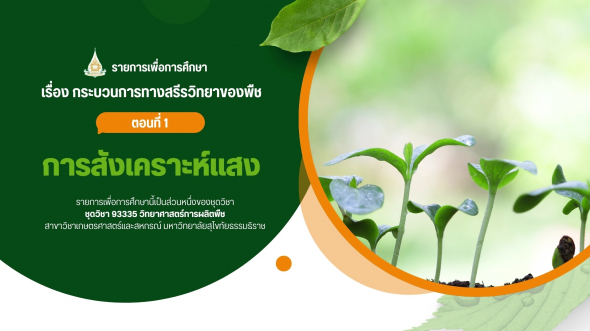 93335  รายการที่ 5 ตอนที่ 1 การสังเคราะห์แสง