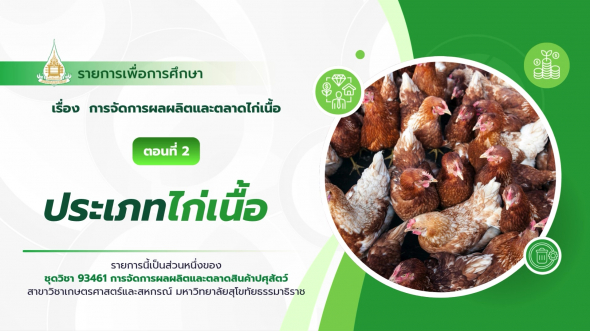 93461  รายการที่ 2 ตอนที่ 2 ประเภทไก่เนื้อ