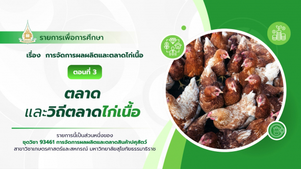 93461  รายการที่ 2 ตอนที่ 3 ตลาดและวิถีตลาดไก่เนื้อ