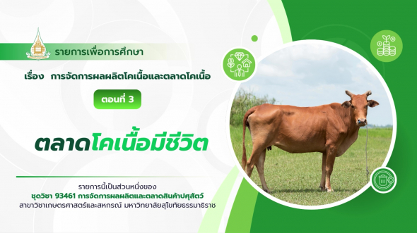 93461  รายการที่ 6 ตอนที่ 3 ตลาดโคเนื้อมีชีวิต