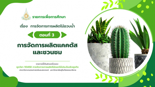 93458  รายการที่ 10 ตอนที่ 3 การจัดการผลิตแคคตัส และชวนชม