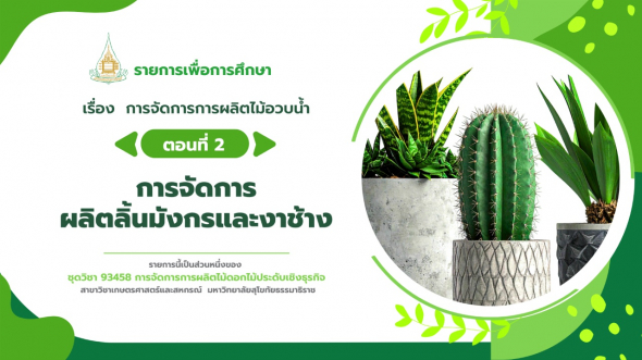 93458 รายการที่ 10 ตอนที่ 2 การจัดการผลิตลิ้นมังกรและงาช้าง