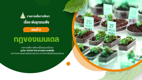 93335  รายการที่ 6 ตอนที่ 2 กฎของเมนเดล