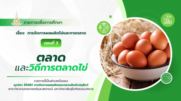 93461 รายการที่ 8 ตอนที่ 3 ตลาดและวิถีตลาดไข่