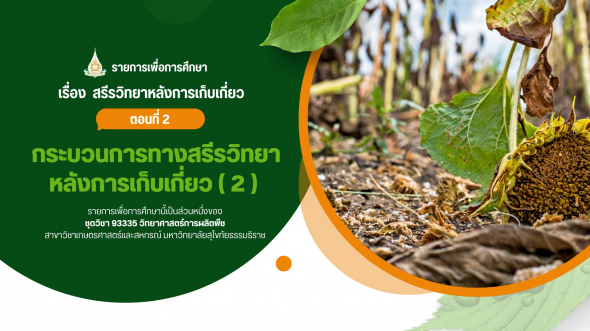 93335  รายการที่ 8 ตอนที่ 2 กระบวนการทางสรีรวิทยาหลังการเก็บเกี่ยว (2)