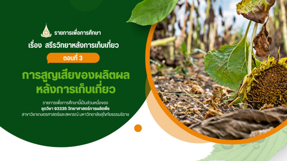93335  รายการที่ 8 ตอนที่ 3 การสูญเสียของผลิตผลหลังการเก็บเกี่ยว