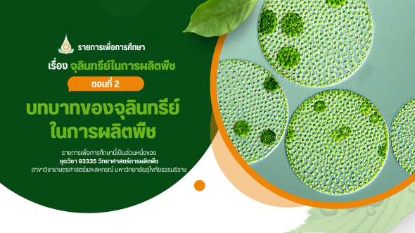 93335 รายการที่ 11 ตอนที่ 2 บทบาทของจุลินทรีย์ในการผลิตพืช