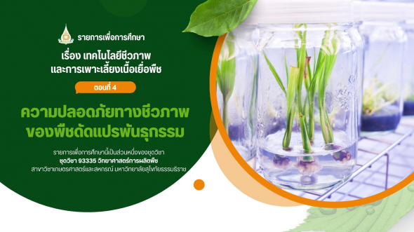 93335 รายการที่ 12 ตอนที่ 4 ความปลอดภัยทางชีวภาพของพืชดัดแปรพันธุกรรม