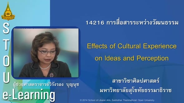 14216 Module 3 Effects of Cultural Experience on Ideas and Perception